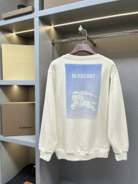 Picture of Burberry Sweatshirt _SKUBurberryS-2XLaztx875831010